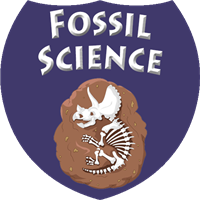 Fossil Science Badge