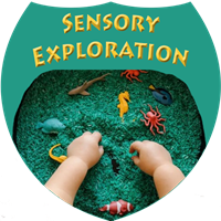 Sensory Exploration Badge